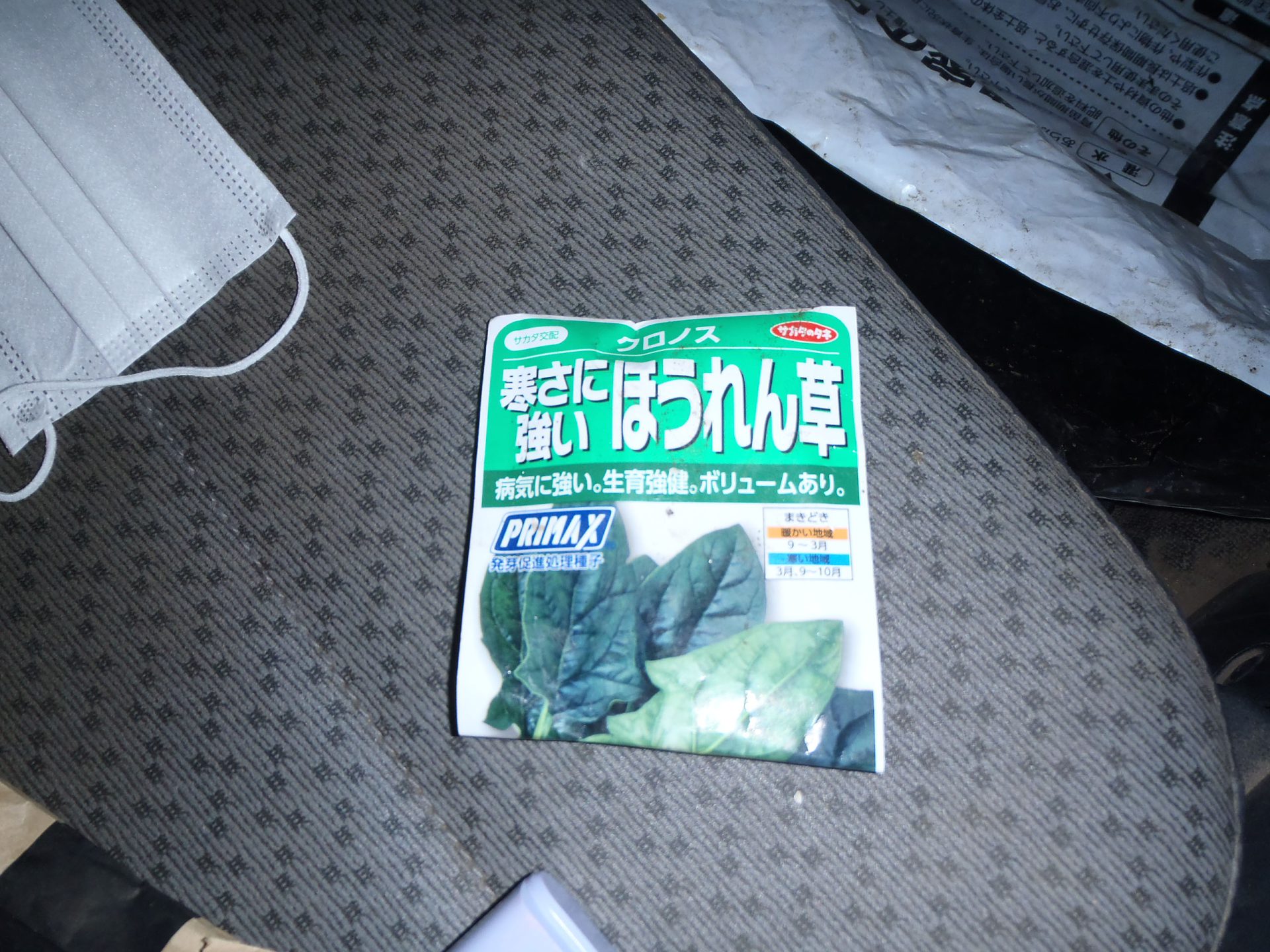 ほうれん草種まき