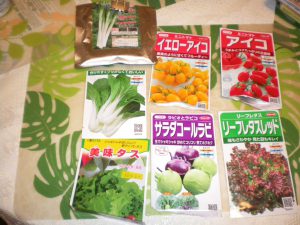 コールラビ　ミニトマト　種