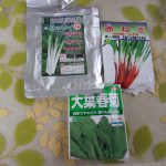 ネギ　シュンギク　種蒔き