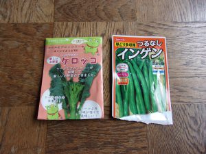ケロッコ　インゲン豆　種