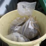 ヘアリーベッチ　220331