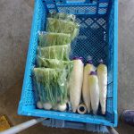 カブ　ダイコン　インフレ