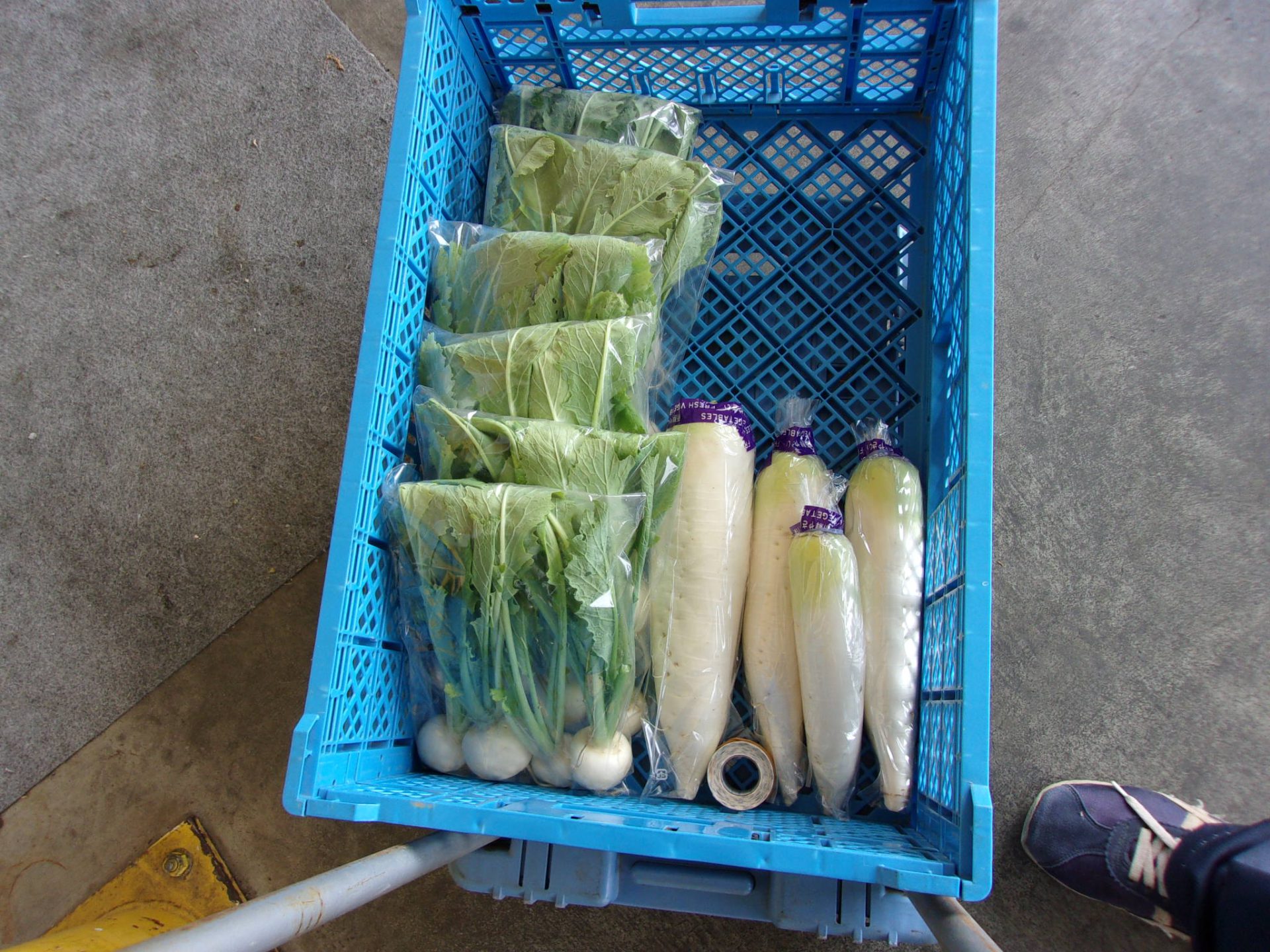 カブ　ダイコン　インフレ