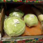 キャベツ　220621