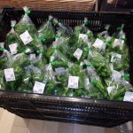 ピーマン　シシトウ　甘長トウガラシ　220718