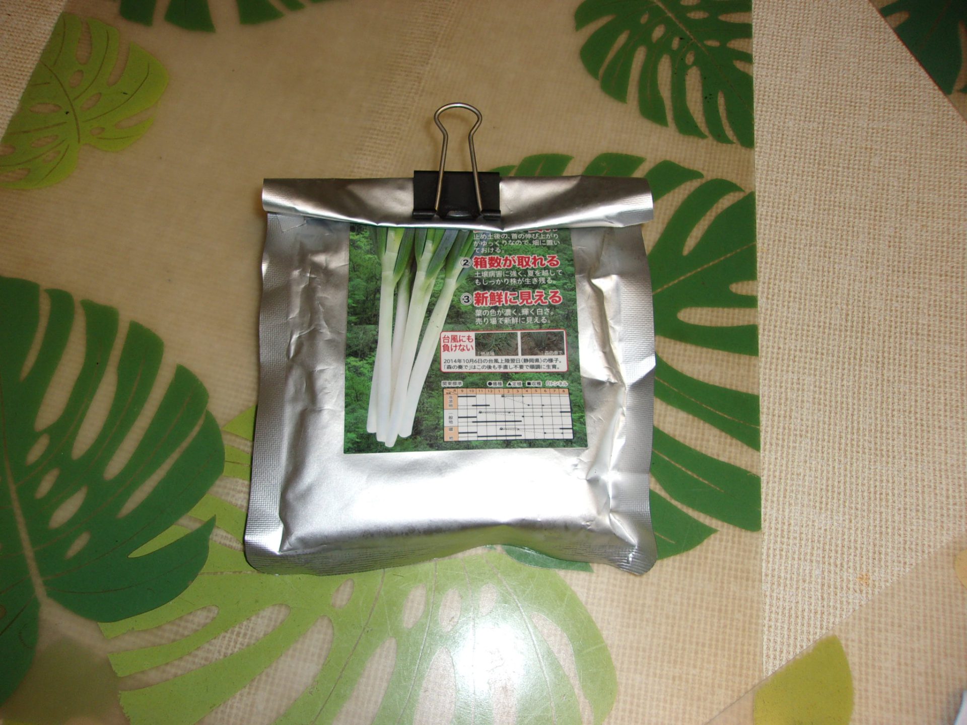 ネギ　種蒔き　220723