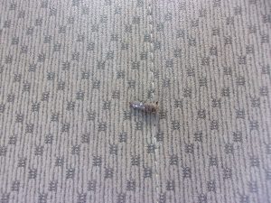 タイヤ　パンク　釘　220922