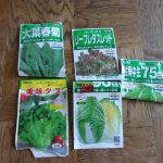 秋　種蒔き　220929