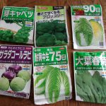 秋　種蒔き　221010