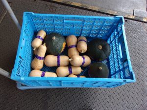 カボチャ　ハロウィン　221028