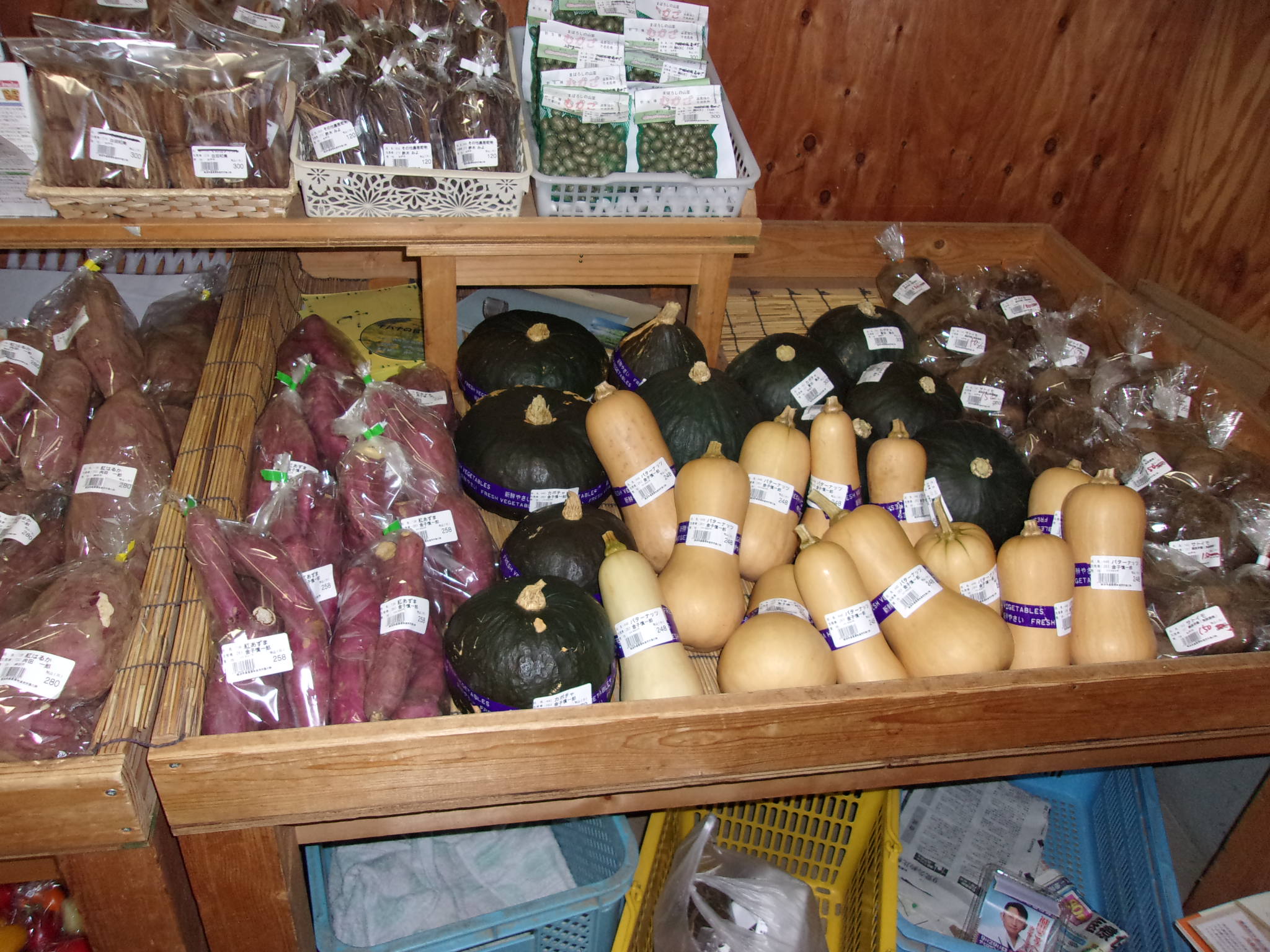 鯉淵学園　イチョウ祭り　学園祭　221112