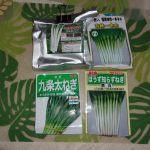 ネギ種蒔き　坊主知らず　221206