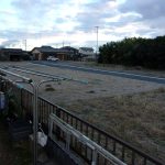 寒い　12月　221215