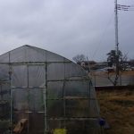 雨　冬至　221222