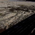 恐い　殺人事件　夢　２３０１２０