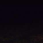 指を切断される夢　230119