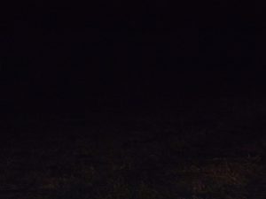 指を切断される夢　230119