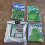 事始め　種蒔き　230209