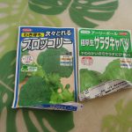 キャベツ　ブロッコリー　種蒔き　230221