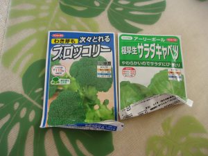 キャベツ　ブロッコリー　種蒔き　230221