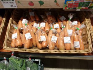 ニンジン　230330