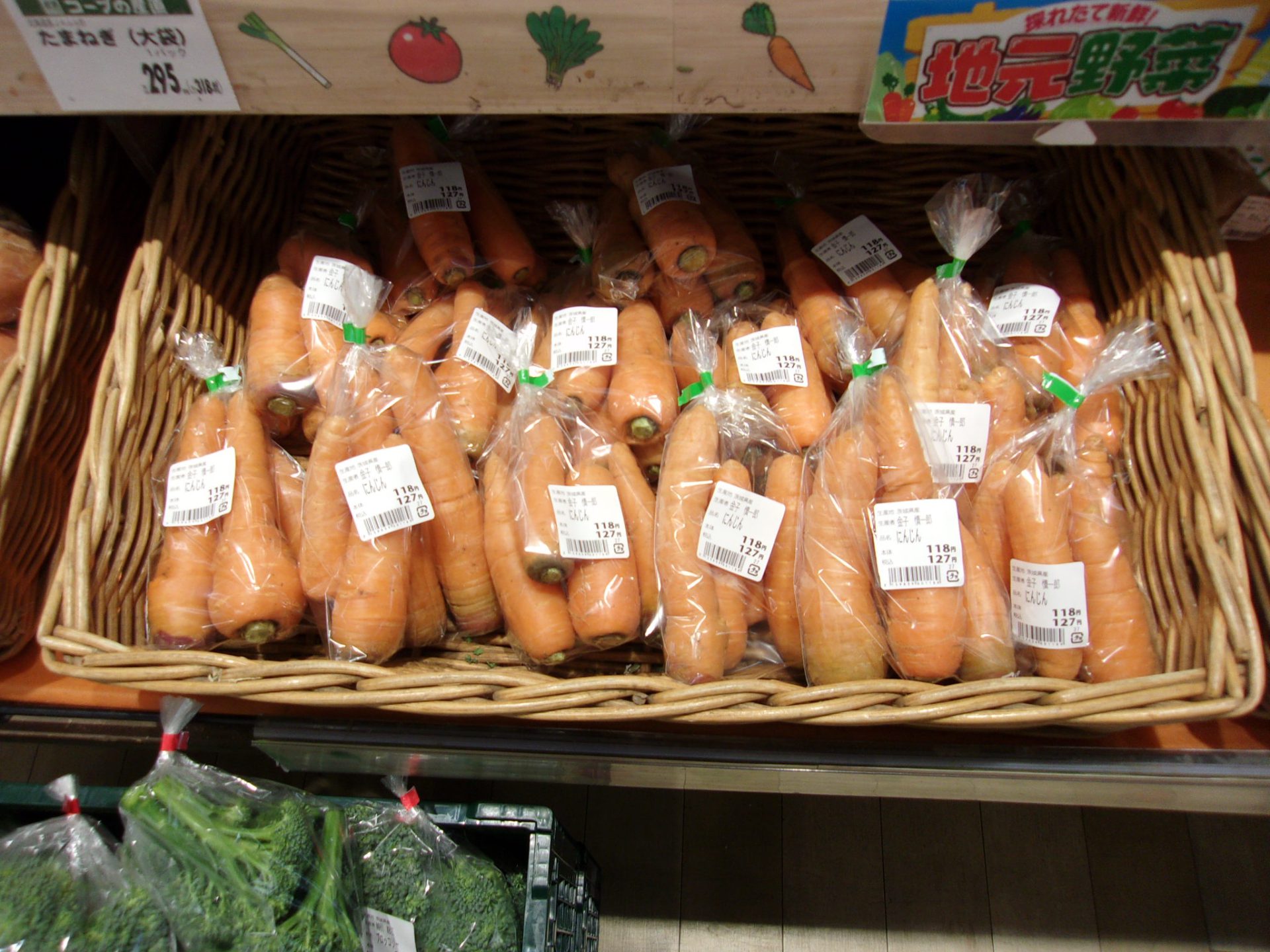 ニンジン　230330