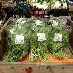 春菊　出荷　230331