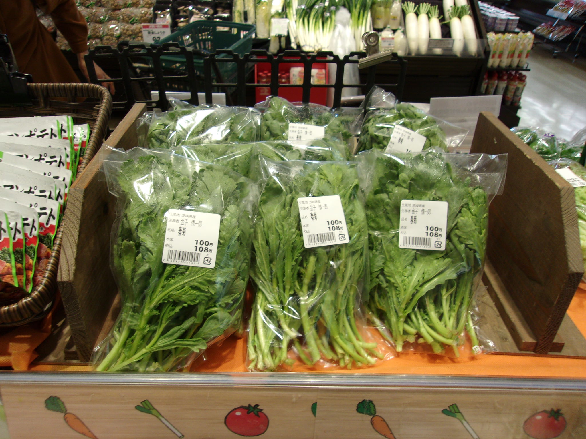 春菊　出荷　230331