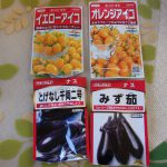 ナス　ミニトマト　アイコ　種蒔き　230404