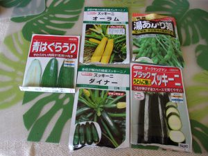 ズッキーニ　はぐらうり　エダマメ　種蒔き　230411