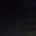 夢でうなされる　230429