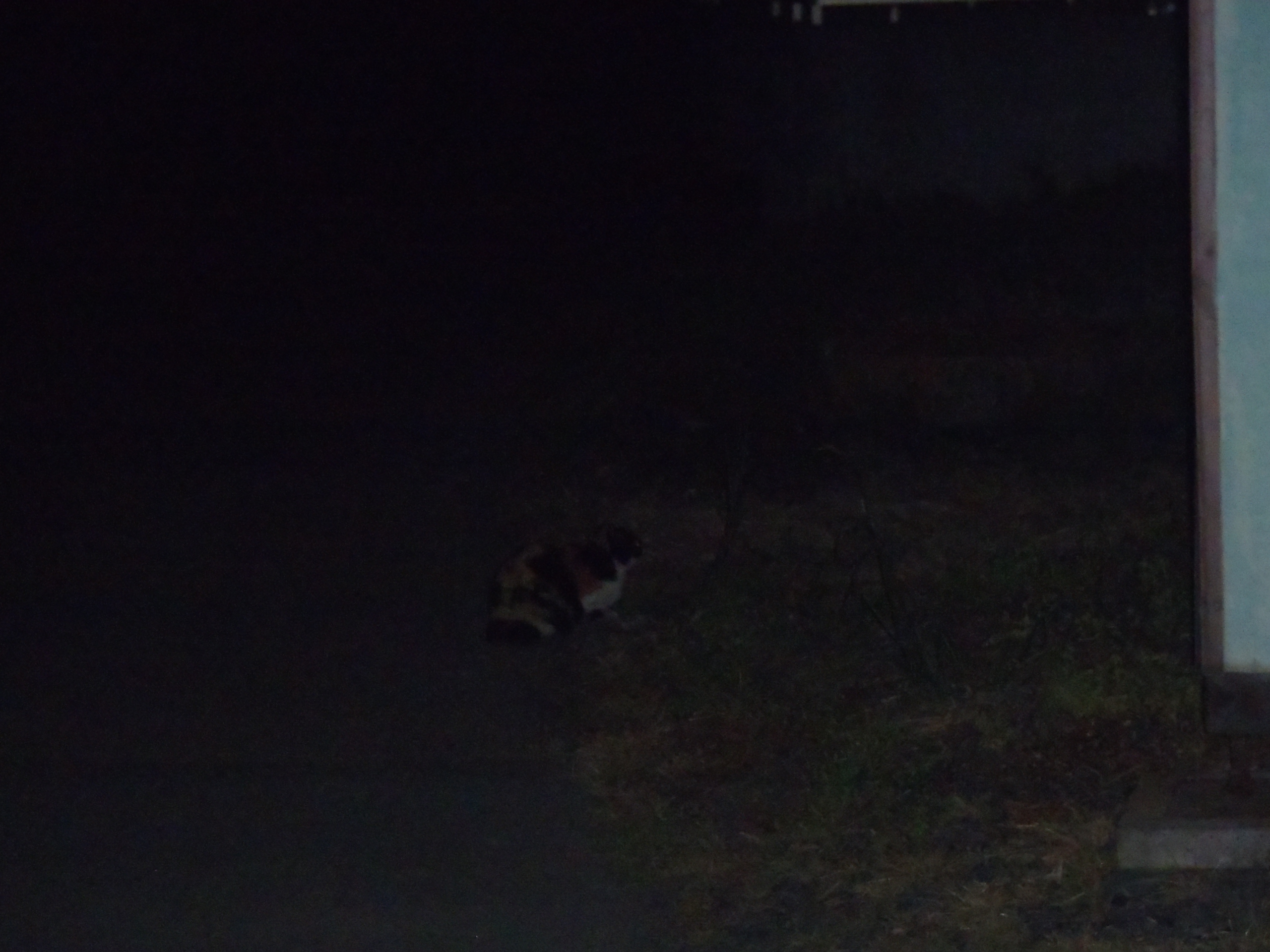 夢でうなされる　230429