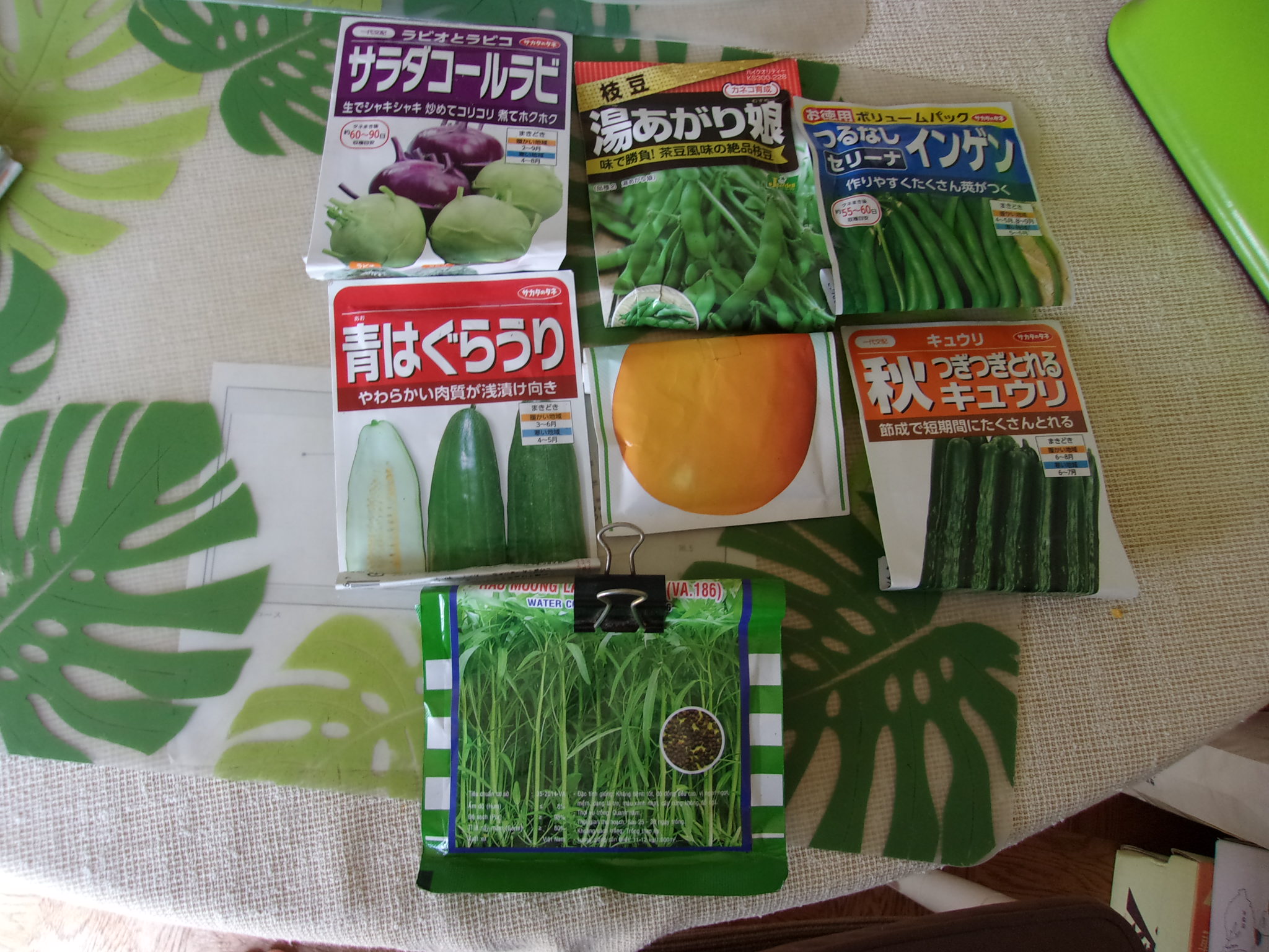 種蒔き　春　230430