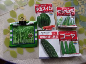 ゴーヤ　スイカ　種蒔き　230529