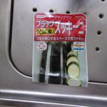 ズッキーニ　直播き　230531