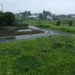 梅雨　雨　230611