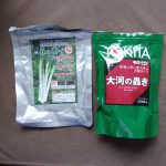 ネギ　トキタ　大河の轟き　230610