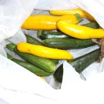 ズッキーニ　子供　230609