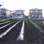 HuWing　畑　スタート　230605