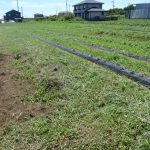 体調不良　230721