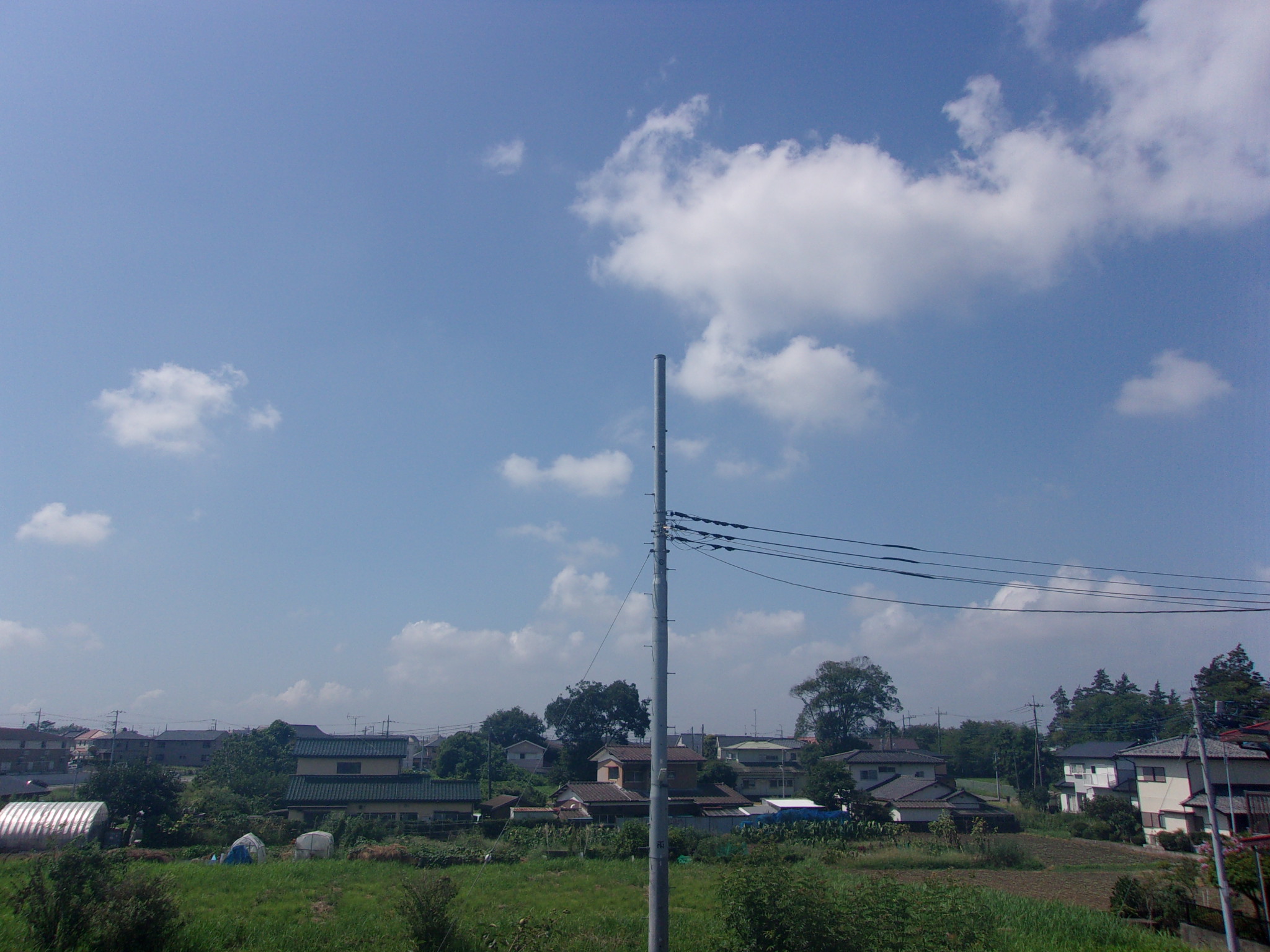 お盆　過ぎ　暑い　230819