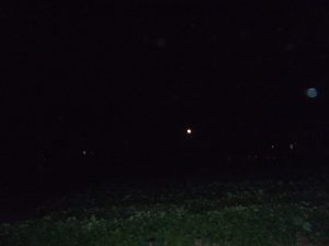 経営　難しい　２３０８０４