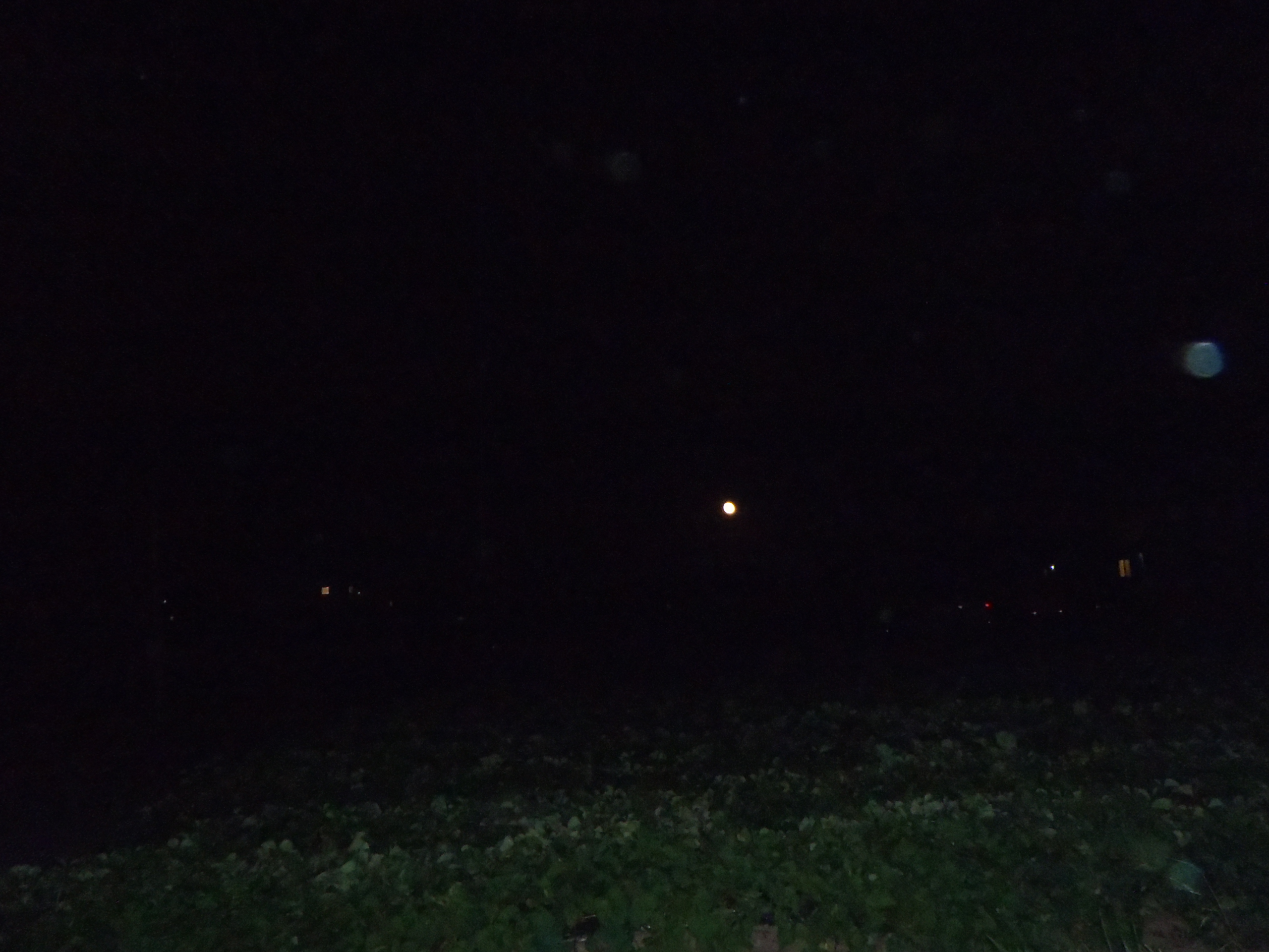 経営　難しい　２３０８０４