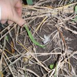 蛇の抜け殻　230926