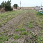 自律神経の乱れ　240404