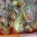 タマネギ　240529