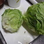 キャベツ　巨大　ムカデ　240609