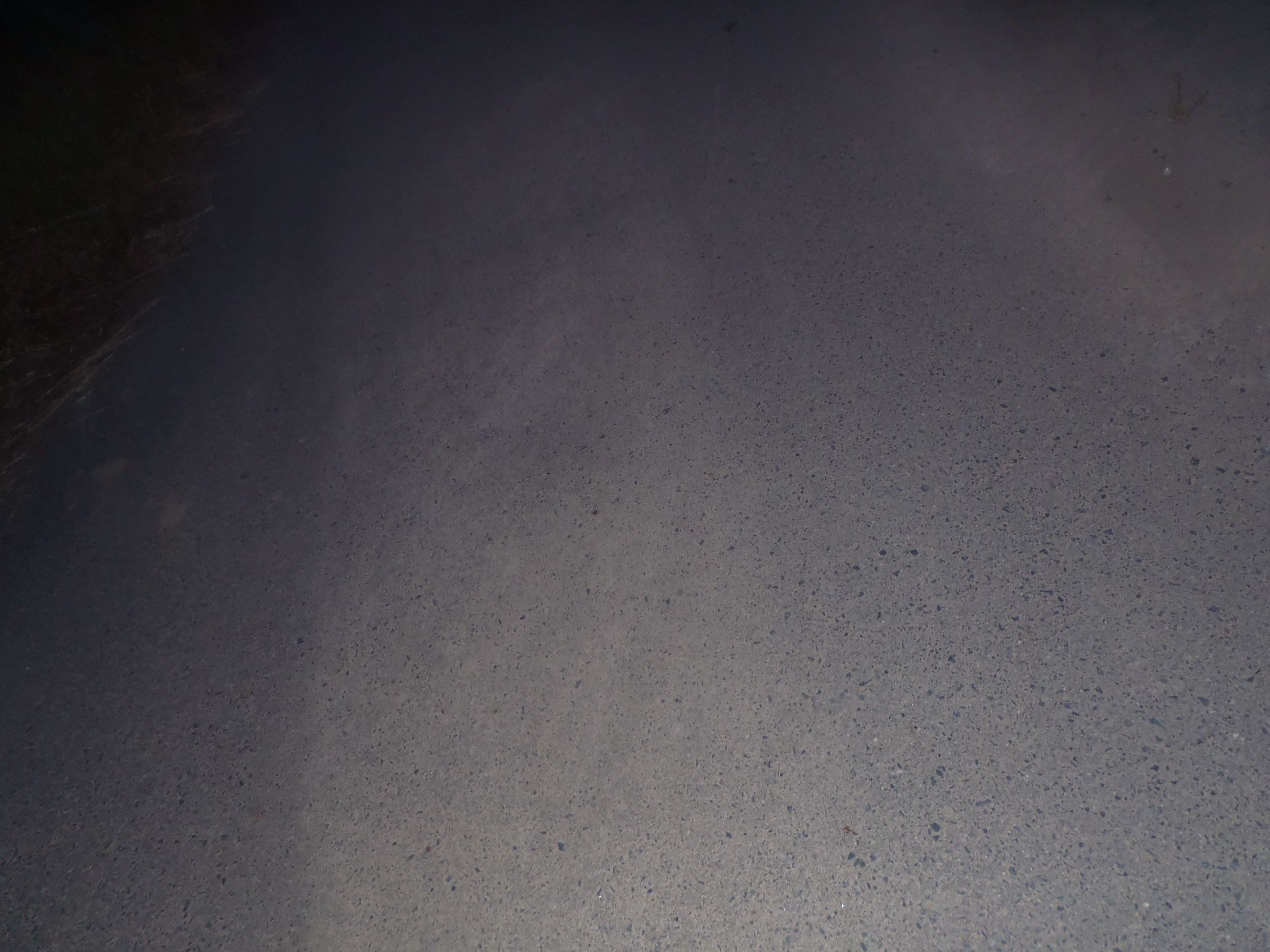 身体　疲れた　240620