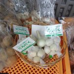 ニンニク販売　240701