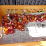 ミニトマト　販売　240804